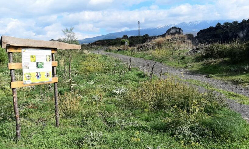 Bronte, l’antica discarica di Brignolo diventa un polmone verde: grazie a finanziamento di 497 mila euro