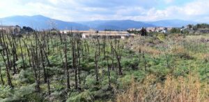 Bronte, l’antica discarica di Brignolo diventa un polmone verde: grazie a finanziamento di 497 mila euro