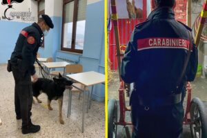 Catania, controlli antidroga nelle scuole e in una stalla di via Castromarino