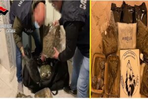 Catania, nascondeva oltre 8 kg di ‘skunk’ e ‘amnesia’ nel sottoscala: 36enne arrestata in flagranza