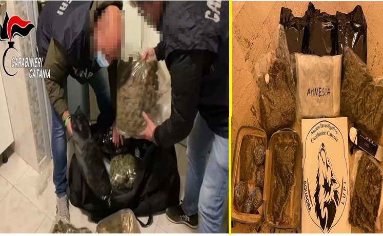 Catania, nascondeva oltre 8 kg di ‘skunk’ e ‘amnesia’ nel sottoscala: 36enne arrestata in flagranza