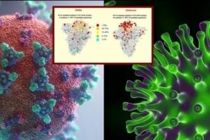 Covid, nuova variante ‘Deltacron’ individuata a Cipro: ci mancava anche questa