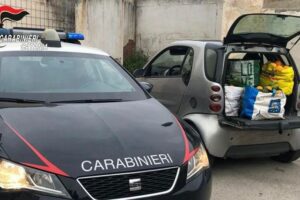 Paternò, quanta ‘passione’ per le arance rubate: oltre 650 kg di tarocco nascoste dentro due auto. Denunciate 4 persone