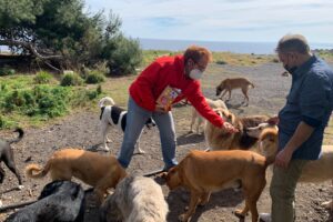 Catania, Caritas attiva collaborazione con associazioni animaliste per favorire l’accoglienza dei ‘senza dimora’ con cani e gatti