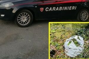 Riposto, 55enne ruba 80 kg di avocadi in una piantagione: arrestato in flagranza