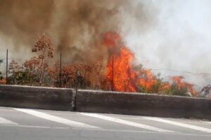 Paternò, incendio in area incolta lungo la strada dei Pioppi: timori per un supermercato e per complesso residenziale (VIDEO)