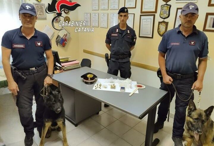 Fiumefreddo, ‘spaccio dolce spaccio’: i cani antidroga King e Riley scoprono rivendita di droga casalinga