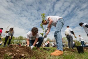 Catania, 5 mln dalla Città metropolitana per piantare alberi e riforestare aree urbane marginali