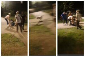 Adrano, dogo argentino aggredisce bambina e alcuni passanti dentro la Villa comunale: due feriti in ospedale (VIDEO)