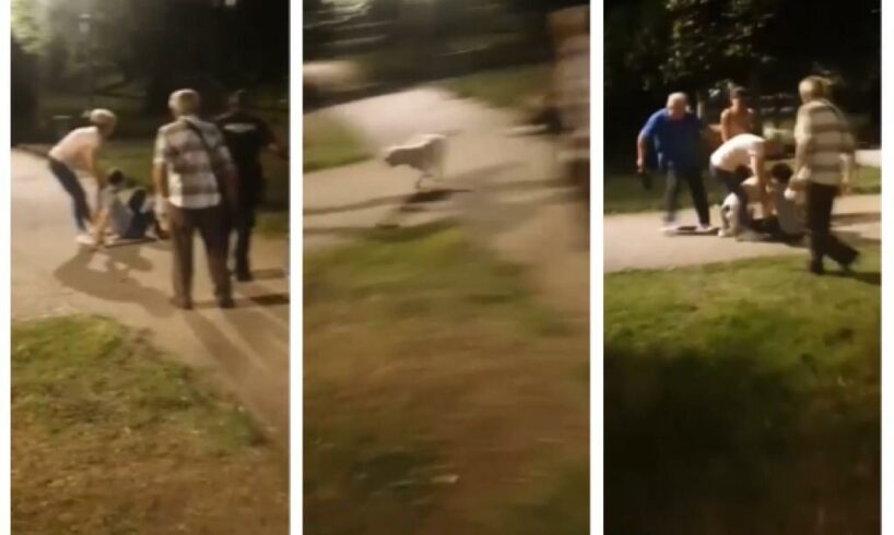 Adrano, dogo argentino aggredisce bambina e alcuni passanti dentro la Villa comunale: due feriti in ospedale (VIDEO)