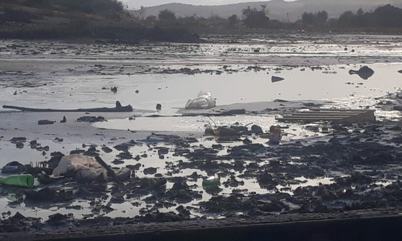 Paternò, Plastic Free pulisce le Salinelle: sabato per il “Sea & River Day” in 200 città italiane