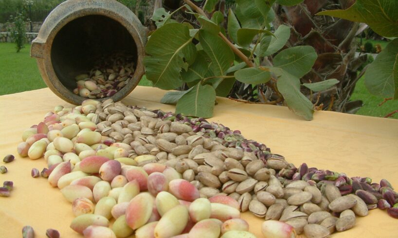 Bronte, domani al via la Sagra del Pistacchio: varato piano straordinario della viabilità