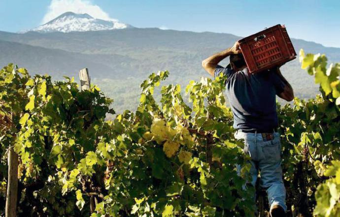 Si presenta il “Biancavilla Etna Wine Forum”: storia ed eccellenze enologiche del territorio