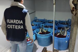 Catania, Guardia costiera sequestra 700 kg di caponi ‘non tracciabili’ al Maas: donati al Banco Alimentare