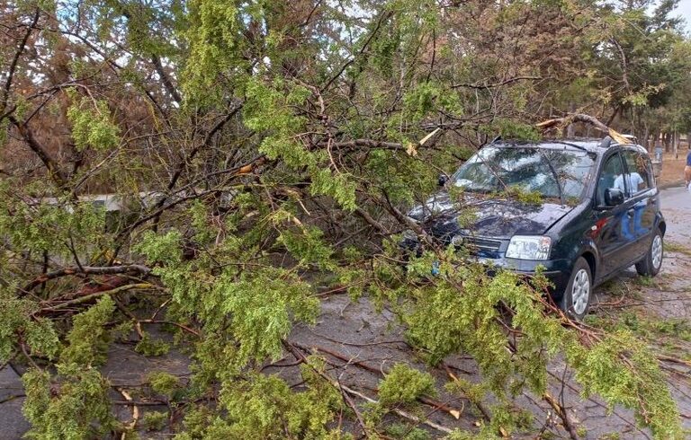 A18, albero si abbatte su due autovetture a causa del forte vento: 3 persone ferite