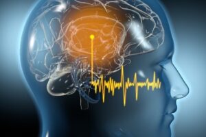 Catania, l’orecchio microcosmo e spia del cervello per prevenire neuroinfiammazioni: studio dell’Università