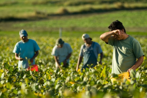 Caltanissetta, imprenditore agricolo sfruttava 21 braccianti italiani ed extracomunitari: ai domiciliari