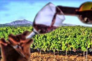 Etna, dal Trentino in Sicilia per scoprire l’enogastronomia sotto il Vulcano: una ‘cinque giorni’ della Strada del Vino e dei Sapori