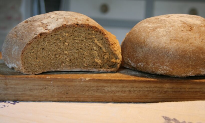 Ad Assoro sfornato il primo pane di grano antico Monococco