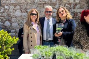 Taormina, candidato sindaco e lista regalano i profumi di Sicilia: 250 piantine di basilico e menta a turisti e residenti