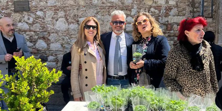 Taormina, candidato sindaco e lista regalano i profumi di Sicilia: 250 piantine di basilico e menta a turisti e residenti