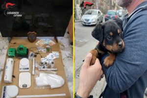 Catania, espugnato ‘fortino della droga’ a San Cristoforo: 5 arresti. Trovato cucciolo di rottweiler (VIDEO)