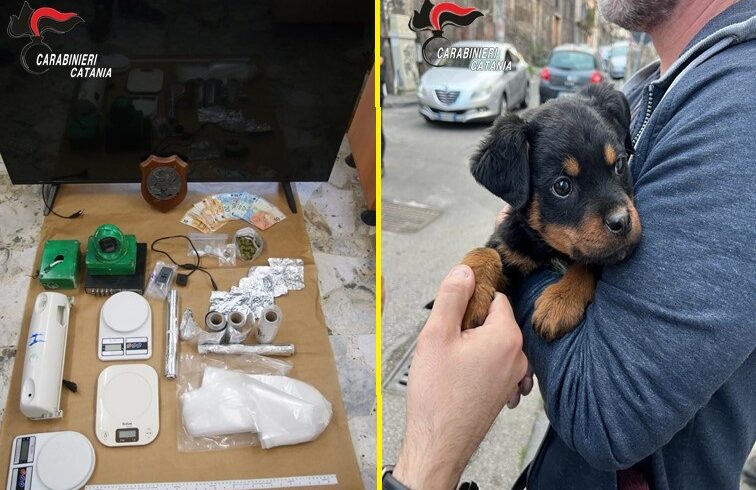 Catania, espugnato ‘fortino della droga’ a San Cristoforo: 5 arresti. Trovato cucciolo di rottweiler (VIDEO)