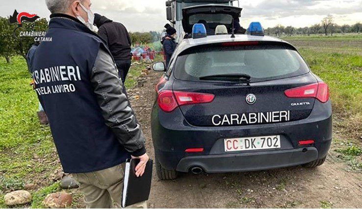 Caporalato nel settore agrumicolo, a Belpasso arrestato imprenditore: denunciata titolare di Biancavilla