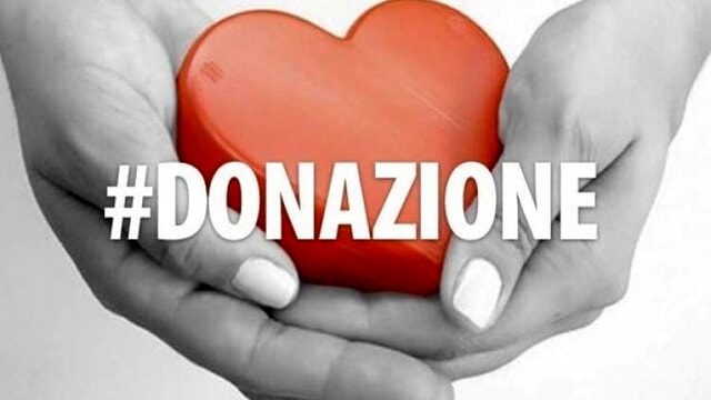 Trapianti, Giornata nazionale donazione organi: Ismett lancia campagna per sensibilizzare su donazione da vivente