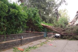 Paternò, palo della luce cade su due auto per il forte vento: albero di Villa Moncada danneggia balconi e vetture