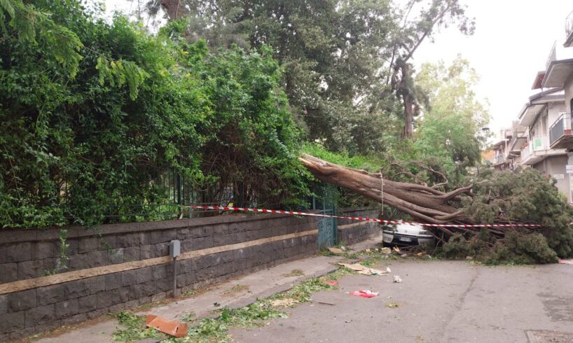 Paternò, palo della luce cade su due auto per il forte vento: albero di Villa Moncada danneggia balconi e vetture