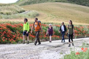 La Via Francigena-Fabaria: fare rete per rigenerare i territori della perifericità