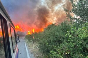 Sicilia, 60 mln di danni per gli incendi e 200 per le ondate di calore: Schifani chiede lo stato di emergenza