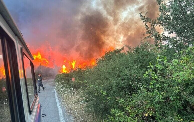 Sicilia, 60 mln di danni per gli incendi e 200 per le ondate di calore: Schifani chiede lo stato di emergenza