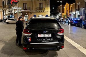 I Carabinieri della Compagnia di Paternò e le unità cinofile del Nucleo cinofili di Nicolosi (composte dal militare conduttore e dal cane) hanno svolto un servizio di prevenzione nei luoghi della “movida” di Paternò e Biancavilla, controllando locali pubblici e avventori, con l’obiettivo di prevenire episodi di criminalità comune e, più in generale, di contrastare tutte quelle condotte pregiudizievoli per la quiete e il decoro urbano, garantendo ai residenti contesti più sicuri e sensibilizzando i giovani a un divertimento sano e consapevole.