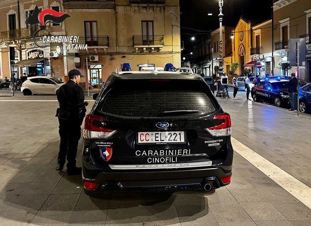 I Carabinieri della Compagnia di Paternò e le unità cinofile del Nucleo cinofili di Nicolosi (composte dal militare conduttore e dal cane) hanno svolto un servizio di prevenzione nei luoghi della “movida” di Paternò e Biancavilla, controllando locali pubblici e avventori, con l’obiettivo di prevenire episodi di criminalità comune e, più in generale, di contrastare tutte quelle condotte pregiudizievoli per la quiete e il decoro urbano, garantendo ai residenti contesti più sicuri e sensibilizzando i giovani a un divertimento sano e consapevole.