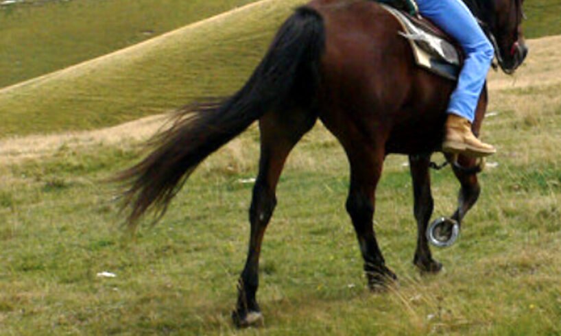 Cerami, grave bimbo di 10 anni caduto da cavallo: stasera veglia di preghiera nel comune ennese