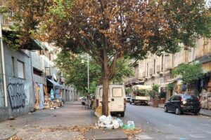 Catania, l’albero dei rifiuti: multa di 330 euro ciascuno per una decina di cittadini zozzoni