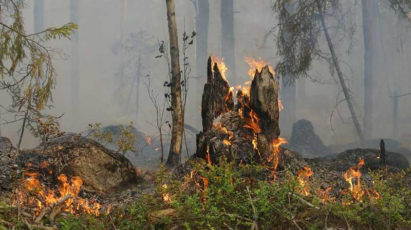 Sicilia, allerta rossa per rischio incendi diramato dalla Protezione civile: fino alla mezzanotte