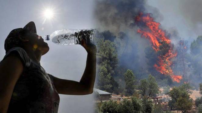 Catania, danni per incendi e ondate di calore: modulo per segnalazione da inviare al Comune