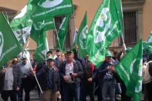 Catania e Messina a Roma per la manifestazione Cia: “Prezzi alle stelle, agricoltori più poveri”