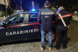 Catania, controlli dei Nas sui ristoranti: trovate blatte in una trattoria. Sequestrate 8 tonnellate di alimenti