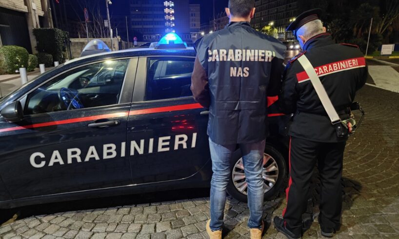 Catania, controlli dei Nas sui ristoranti: trovate blatte in una trattoria. Sequestrate 8 tonnellate di alimenti