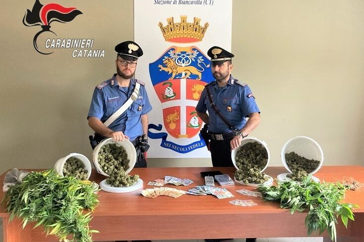 Biancavilla, arrestati in flagranza due fratelli ‘coltivatori’ di marijuana