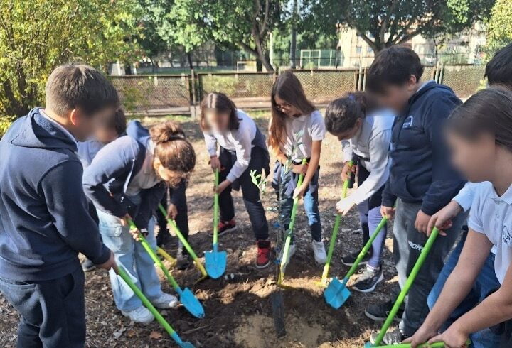 Paternò, Enosis pianta nuovi alberi d’ulivo nelle scuole primarie: concorso di poesia per “Radici per il futuro”