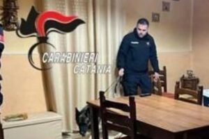 Biancavilla, il cane antidroga ‘King’ fiuta la marijuana nascosta in cucina: 31enne arrestato