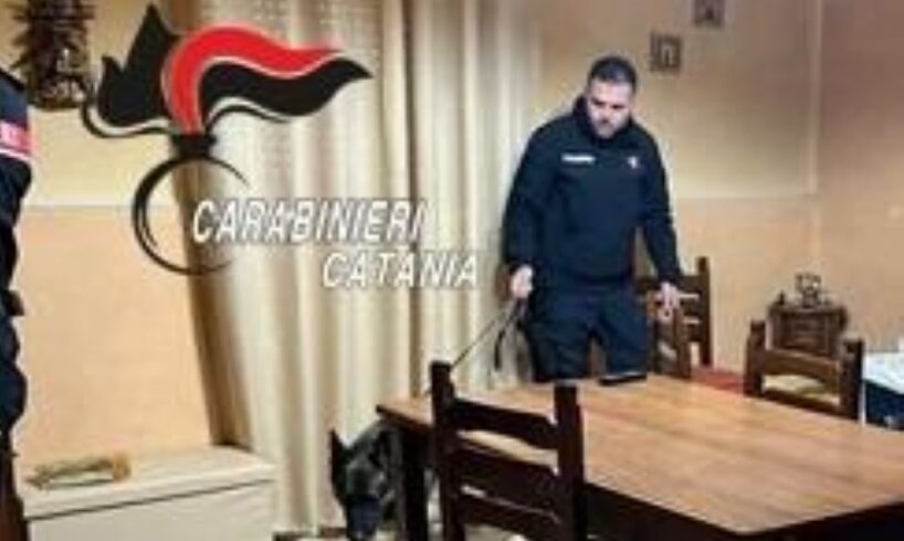 Biancavilla, il cane antidroga ‘King’ fiuta la marijuana nascosta in cucina: 31enne arrestato