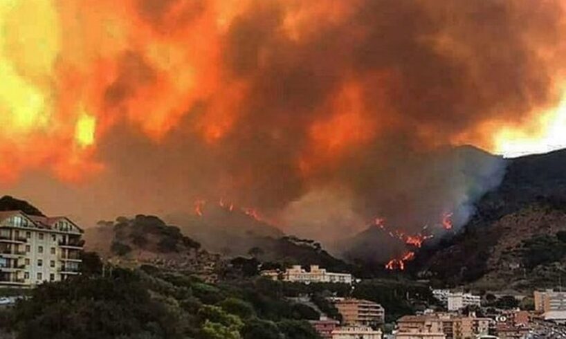 Incendi in Sicilia, dossier del Wwf: “Gravi errori della politica siciliana”