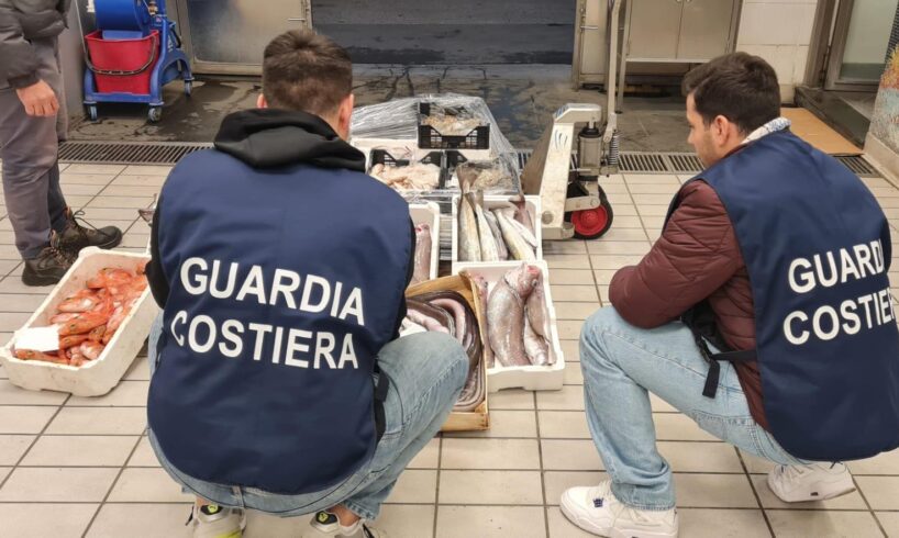 Catania, Guardia Costiera sequestra 2 tonnellate di prodotti ittici