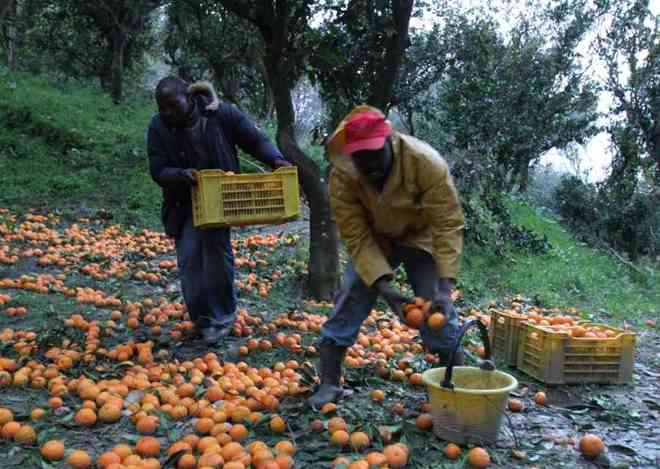 Paternò, ente agricolo paga rimpatrio della salma del bracciante marocchino ucciso da connazionale